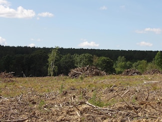 Lot 15 Summer City Rd, Evensville, TN 37332