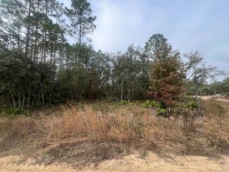 0 Robins Rd Unit R11047746, Interlachen, FL 32148