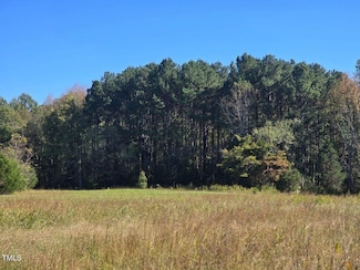 51.3ac Highway 86, Hillsborough, NC 27278