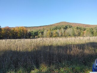 421 County Route 56, Windham, NY 12496