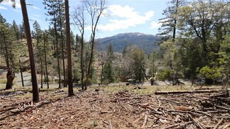 9686 Fox Dr, Cobb, CA 95426