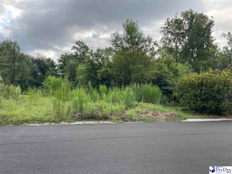 2206 Wellesly Ct, Florence, SC 29505