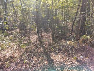 00 Joe Robertson Rd, Rocky Face, GA 30740