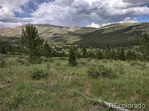 0 Snow Cap Peaks Rd Unit 23877919, Alma, CO 80402