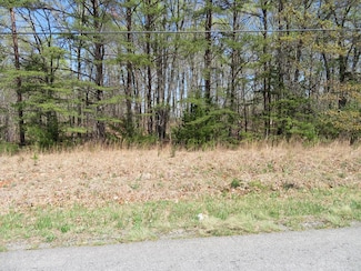 0-6 Gallows Rd, Hurt, VA 24563