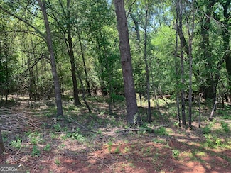 1810 Paxton Ct, Watkinsville, GA 30677