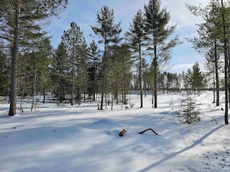 tbd 220 Acres Off Co Rd Cf Rd, Ishpeming, MI 49849