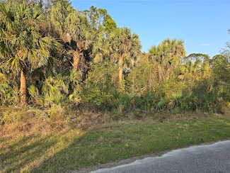 348 Ramblewood St, Port Charlotte, FL 33953