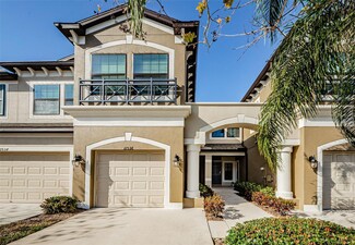11536 Crowned Sparrow Ln, Westchase, FL 33626