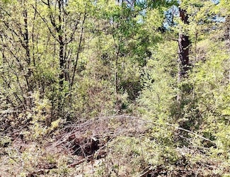 12 Willow St, Lumberton, MS 39455