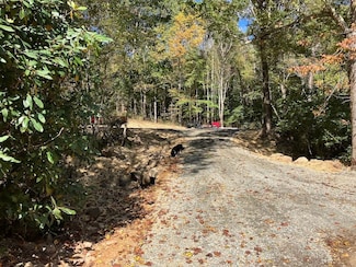0 Tbd Fire Tower Rd Unit LotWP001, Mountain City, TN 37863