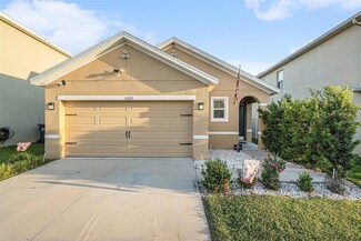 10213 Geese Trail Cir, Sun City Center, FL 33573