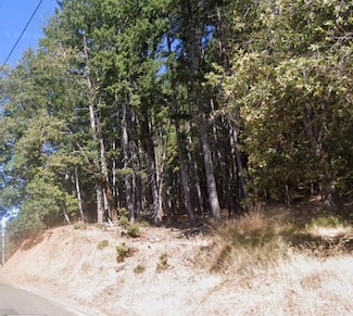 2478 Bear Place, Willits, CA 95490