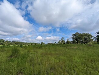 612 Edgar Jones Rd, Box Springs, GA 31801