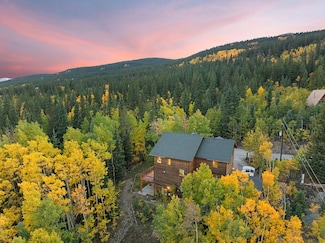 294 Mine Dump Rd, Alma, CO 80420