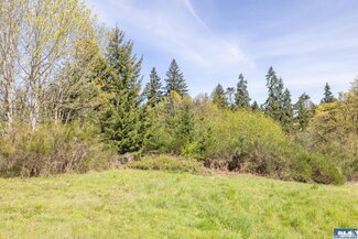 Lot 6 Delguzzi Dr, Port Angeles, WA 98362