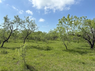 TBD NW C R 4160, Frost, TX 76641