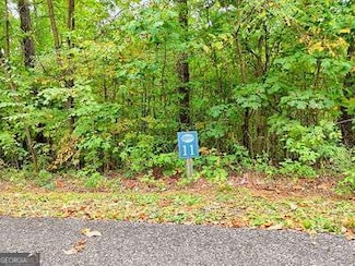 Lot 11 Skyview Dr, Hayesville, NC 28904