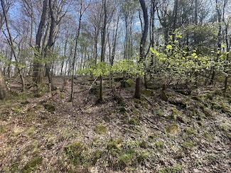 Lot 94 Day Lily Cir, Terra Alta, WV 26764