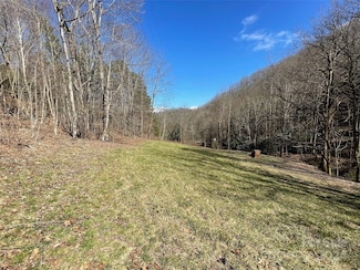 81 Peepeye Cove Rd, Leicester, NC 28748