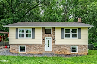 484 Pleasant Hill Rd, Blountville, TN 37617