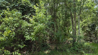 Lot 7 NE Hunter Cir, Micanopy, FL 32667