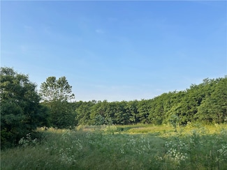 0 50 Acres Off of Jordan Rd, Cisco, IL 61830