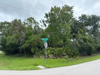 1 Watkins Place, Palm Coast, FL 32164
