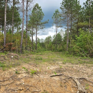 Lot 10 Holly Woods, Robbins, TN 38562