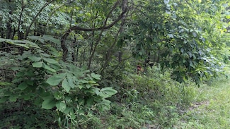 201 Cinderella St, Horseshoe Bend, AR 72512