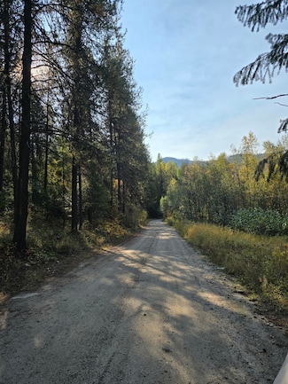 1622 T Clugston-Onion Crk Rd, Colville, WA 99114