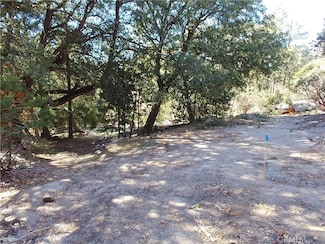 0 Schaffer Dr, Idyllwild-Pine Cove, CA 92549