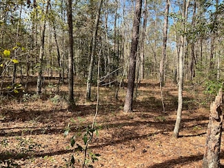6005 Old Salkehatchie Rd Unit Parcel E, Early Branch, SC 29916