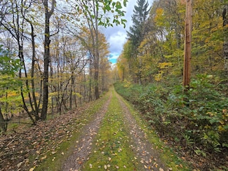 0WP Glen Burnie Rd, Delhi, NY 13753