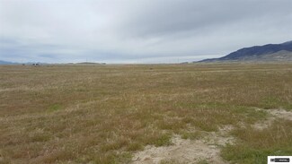 11560 Mammoth Pool Trail, Lovelock, NV 89419