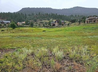 31 Greenside Ct, South Fork, CO 81154