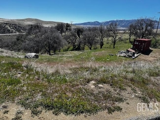 19516 Sycamore Dr, Golden Hills, CA 93561