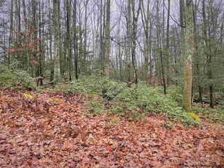 92 Sidney St, Kerhonkson, NY 12446