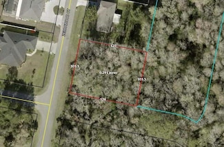 2 Zebrawood Ct, Palm Coast, FL 32164