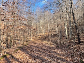 14645 Morehead Rd, Wallingford, KY 41093