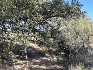 241 Lehne Loop, Buchanan Dam, TX 78609