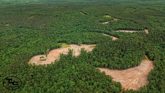 0 Wolf Pen Rd, Pocahontas, TN 38061