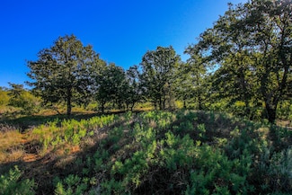 0 Tbd Tx 114, Jermyn, TX 76459