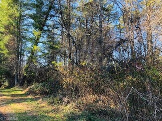 000 Turkey Ford Rd, Dobson, NC 27017