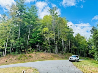 10.21 acres 1981 Round Mountain Pkwy Unit Lot 90, Lenoir, NC 28645