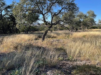 Tract 1 Zeder Strasse Unit 1, Fredericksburg, TX 78624