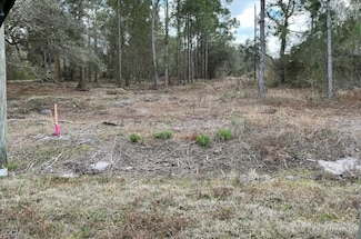 13231 Banyan Dr, Punta Gorda, FL 33955