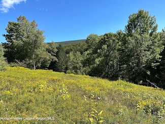 Tbd Todd Mountain Rd, Arkville, NY 12406
