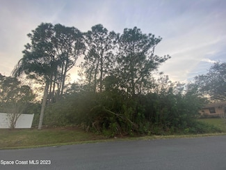 1708 Sand Rd SE, Palm Bay, FL 32909
