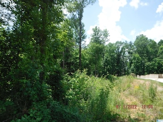 0 12th Ct, Pleasant Grove, AL 35127